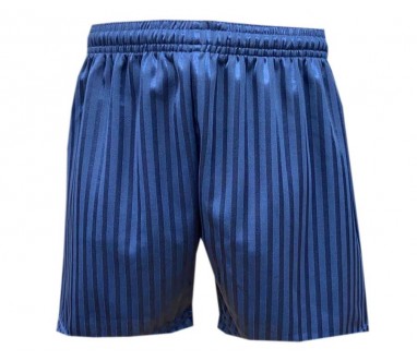 Navy Shadow Stripe Shorts