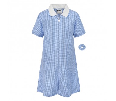 Blue/ White Check Summer Dress With White Collar